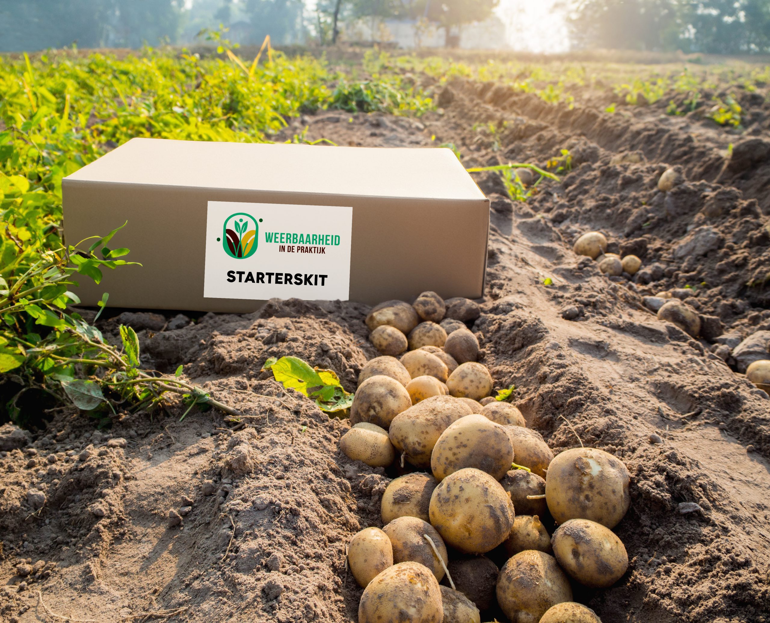 NutriTrain doet mee aan aardappelproefproject van LNV