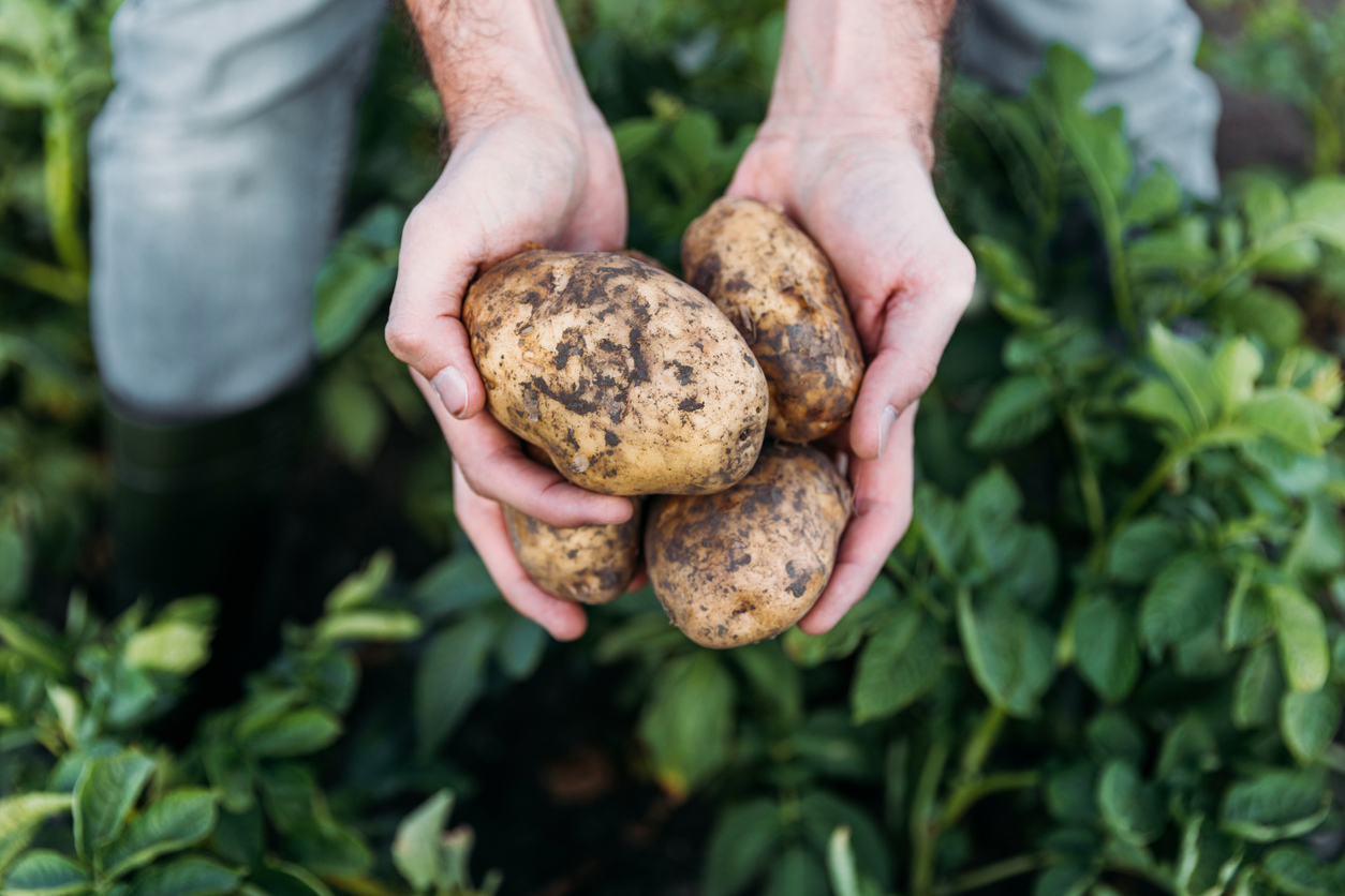 Wir stellen vor: Fulv-IQ von NutriTrain
